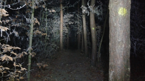 Nocni radotin